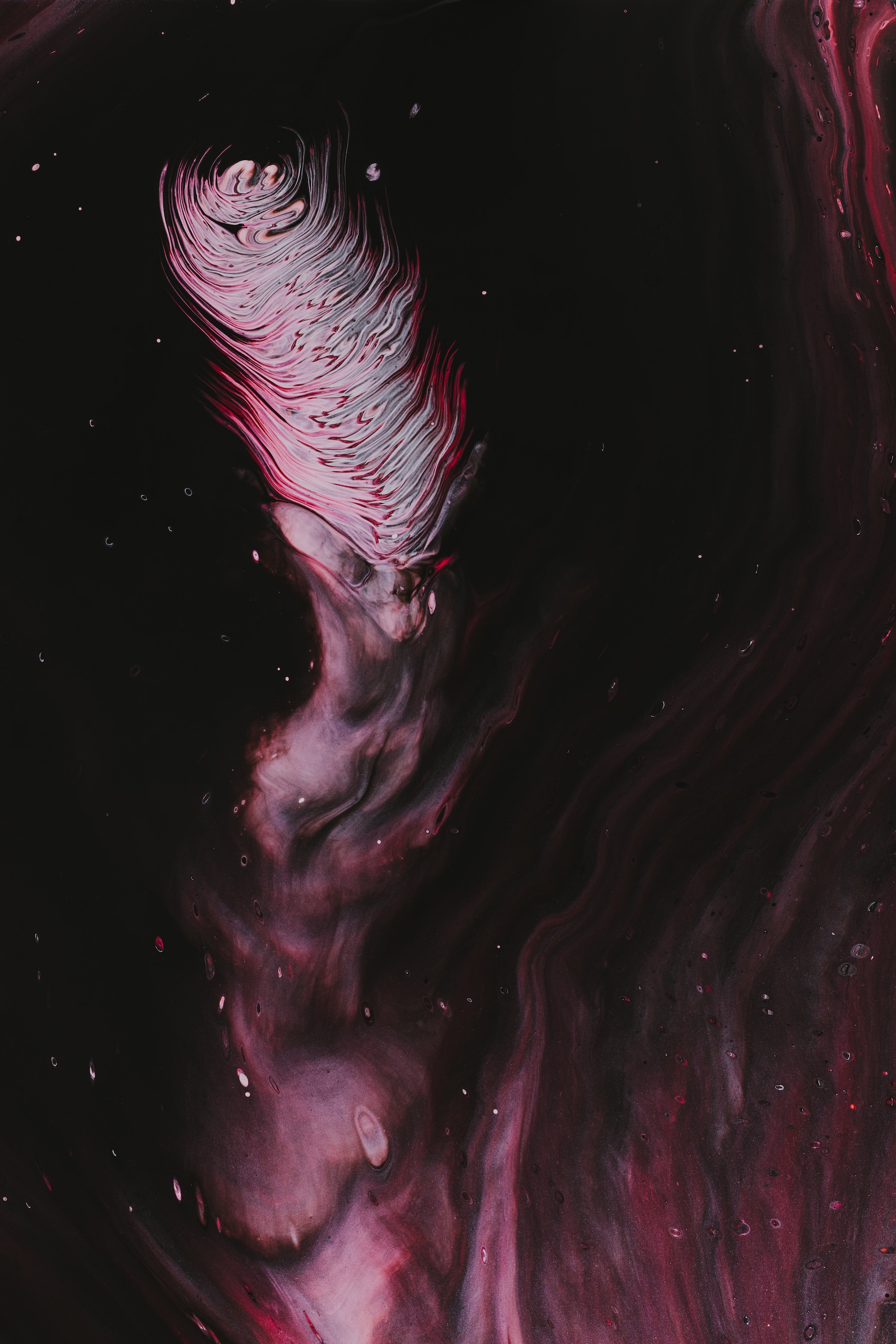 This is image alt